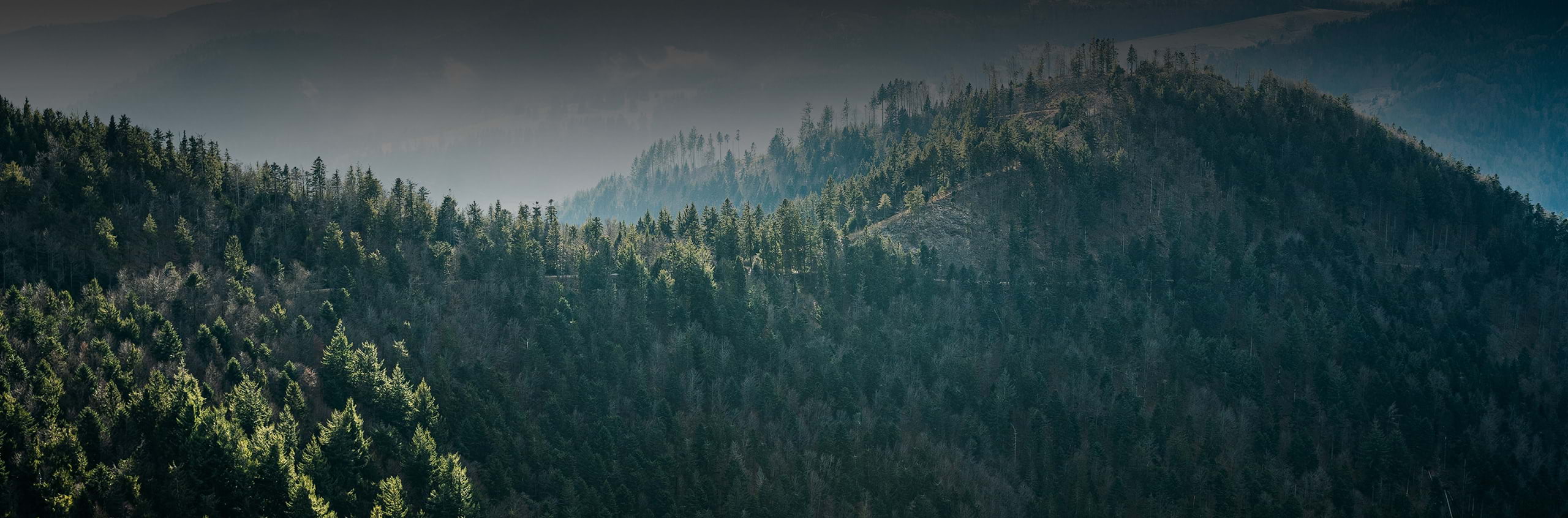 Optimieren Sie Ihren Verbrauch